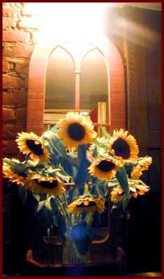 Sunflowers